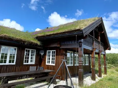 a log house with a grass roof with a bench in front at Bjørnebuhytten, Geilo, 13 sengeplasser med privat Jacuzzi og el-bil-lading in Geilo