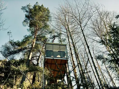 a tree house in the middle of some trees at Engeset Trehytter in Vereide