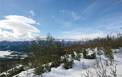 a snow covered hill with trees and a view of a valley at Bassebuupdalstøl in Tyinkrysset