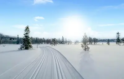 a snow covered road in a field with trees at Stunning Home In Kvam With Wifi in Kvam