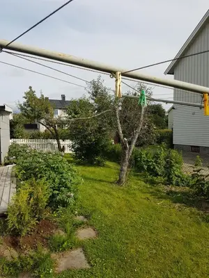 a yard with a tree and a street light at Comfortable zone in Hønefoss