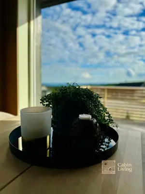 a plate with a cup and a plant on a table at Cozy cabin on Sjusjølia by the trail network sauna in Ringsaker