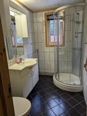 a bathroom with a shower and a sink and a toilet at Apartment 2 sleeping rooms in Rjukan in Rjukan