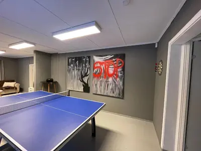 a ping pong room with a ping pong table at Spacious house in Trysil in Trysil