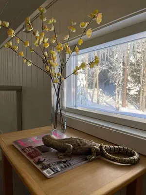 a lizard sitting on a table next to a vase at Spacious house in Trysil in Trysil
