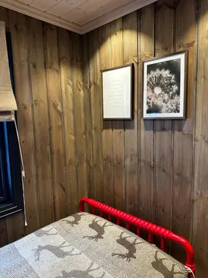 a bedroom with a wooden wall with a bed and two pictures at Trysil Moderna Lodge in Trysil