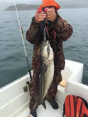 a man holding a fish on a boat at Apartment Solbakken Feriehus in Fevåg