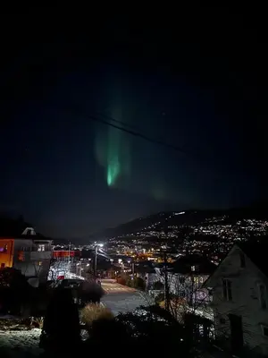 a green aurora in the sky over a city at night at Spacious and Beautiful Apartment in Bergen with free parking in Bergen