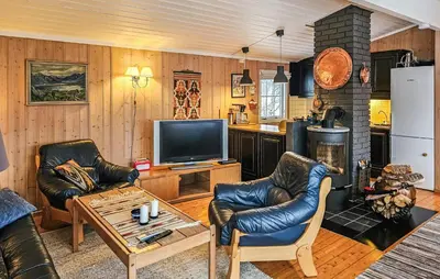 a living room with two leather chairs and a television at 3 Bedroom Stunning Home In Uvdal in Uvdal