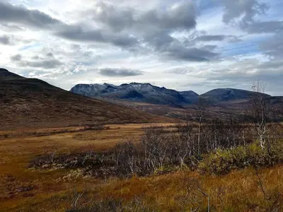 a view of a field with mountains in the background at Cabin by the Fjord in Øksendalsøra