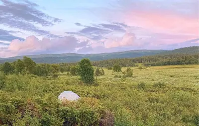 a field of grass with trees and mountains in the background at Cozy Home In Gol With Sauna in Golsfjellet