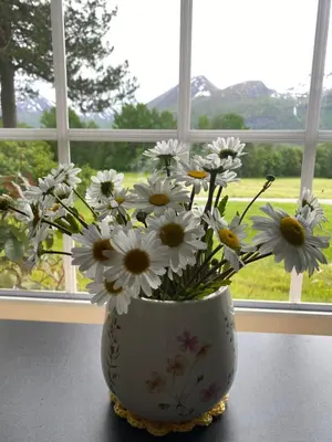 a vase filled with white flowers sitting in a window at Heinåli apartment in Isfjorden