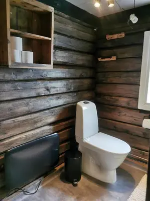 a bathroom with a toilet in a wooden wall at Stabburet på Balsnes Gård in Hitra