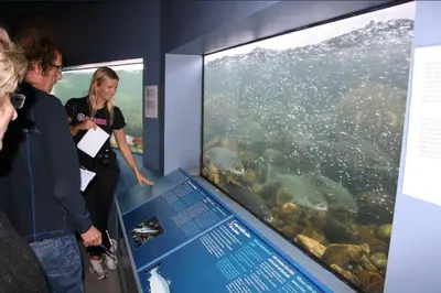 two people looking at an exhibit in an aquarium at Kvammehuset på Gamle Lærdalsøyri in Lærdalsøyri