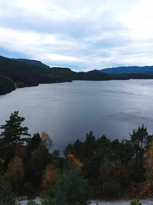 a view of a large body of water with trees at Sveciu namai in Vikedal