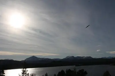 a bird flying in the sky over a lake at Åkviktunet hytte nord in Averoy