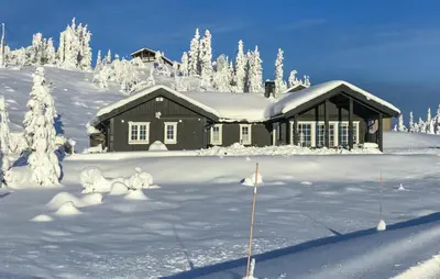a house in the snow with snow covered trees at Stunning Home In Eggedal With Wifi in Eggedal