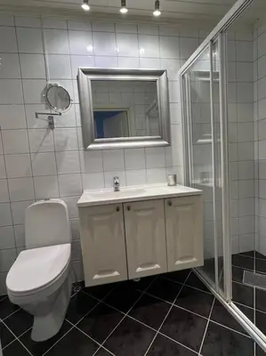 a bathroom with a toilet and a sink and a mirror at Leilighet i Uvdal med nydelig utsikt in Sønstebø