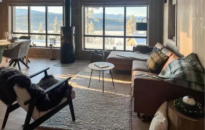 a living room with a cat sitting in a chair at Pet Friendly Home In Gålå With Kitchen in Gålå