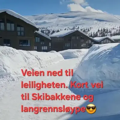 Ski in Ski out Trysil in the mountain of Norway 60m from the Slopes
