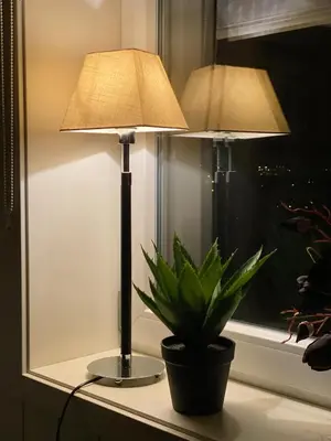 a lamp sitting on a table next to a potted plant at Store Ringheim Apartment - Villa Solberg in Vossevangen
