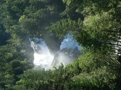 an aerial view of a forest with smoke in the trees at 