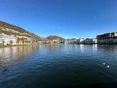 a large body of water with ducks in it at Supersentralt Bergen sentrum in Bergen