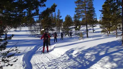 a group of people cross country skiing in the snow at Rondane Friluftssenter Rondetunet in Brenn