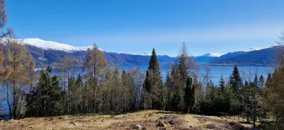 a view of a lake with trees and mountains at Vesletun in Balestrand