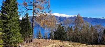 a view of a lake with trees and snow capped mountains at Vesletun in Balestrand