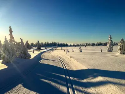 a shadow of a train track in a snow covered field at New log cabin with sauna, waxing shed & bench at Sjusjøen in Ringsaker