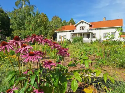 a field of flowers in front of a house at Hurdal Gjestegård in Hurdal
