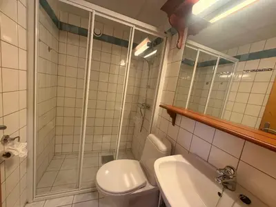 a bathroom with a shower and a toilet and a sink at Cozy Ground-Floor Apartment In Beitostølen in Beitostøl