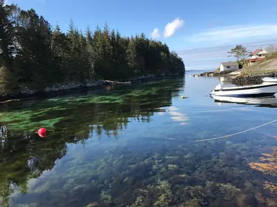 a boat is docked at a dock on a river at Seaside cottage with hot tub and sauna sleeps 11 in Forland