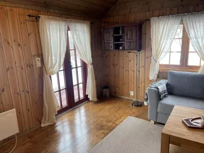 a living room with wood paneling and a couch and windows at Springaren - cabin close to Gaustatoppen in Tuddal