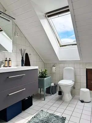 a bathroom with a sink toilet and a skylight at Nydelig leilighet i Bakklandet in Trondheim