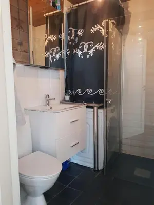 a bathroom with a toilet and a shower at Annex Fjara greater Oslos best view sleeps 10 guests in 3 bedrooms in Stange