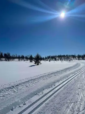 a snow covered field with the sun in the sky at Geilo Kikut - Ski-in Ski-out in Geilo