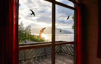 a window with a view of the water and birds at Fjordhytte-2 am Hardangerfjord, grandioses Fjordpanorama, 20 PS Motorboot mietbar! in Ænes