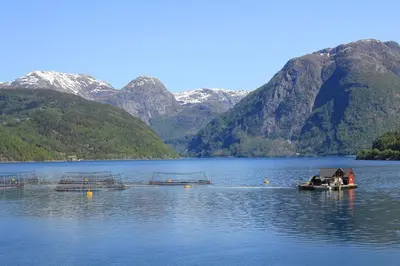 two boats on a lake with mountains in the background at Fjordhytte-3 in traumhafter Lage 100 Meter vom Hardangerfjord, Motorboot mietbar in Ænes