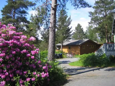 a log cabin with pink flowers in front of a house at Fjordhytte-39 am Hardangerfjord, Motorboot mietbar in Rosendal