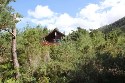 a house in the middle of a forest at Fjordhytte-38 bei Rosendal am Hardangerfjord in Rosendal