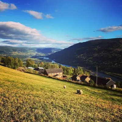 a sheep laying in a field on a hill at Rudland Gård - Unik gårdsovernatting i stabbur fra 1750 in Sør-Fron