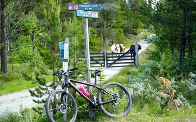 a bike is parked next to a street sign at Lifjellhytte 10 by Norgesbooking - cabin at Golsfjellet in Gol