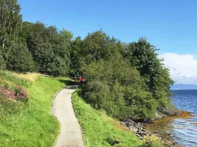 a path next to a river with a person walking on it at Pen leilighet i Trondheim in Trondheim