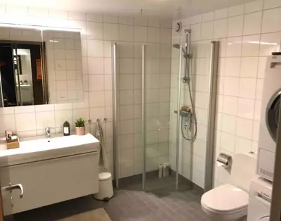 a bathroom with a shower and a sink and a toilet at Pen leilighet i Trondheim in Trondheim