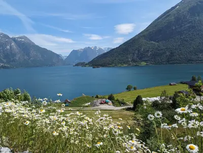 a view of a lake with a field of flowers at Flotun in Stryn