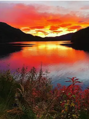 a painting of a sunset over a body of water at Flotun in Stryn