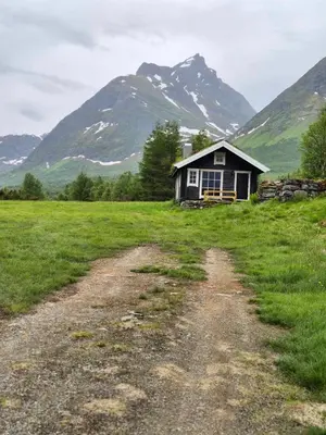 a dirt road leading to a small house in a field at Hytta på Kvia, Rognestøyldalen - Sæbø in Sæbø