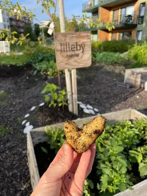 a person holding a butterfly in a garden at Modern 4 bedroom townhouse with garden and indoor car park in Trondheim